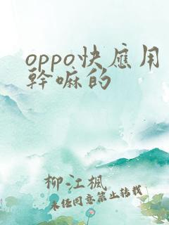 oppo快应用干嘛的