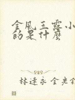金风玉露小说讲的是什么