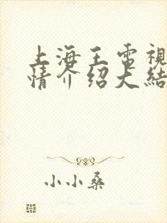 上海王电视剧剧情介绍大结局