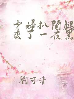 少妇扒开腿让我爽了一夜黑人巨大