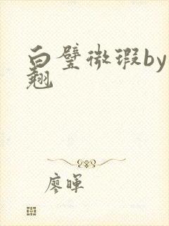 白璧微瑕by连翘