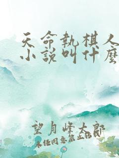 天命执棋人原著小说叫什么名字