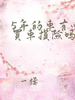 5年的车有必要买车损险吗