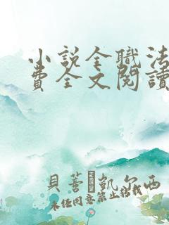 小说全职法师免费全文阅读一