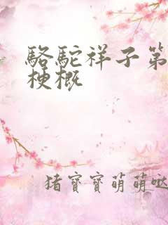 骆驼祥子第四章梗概