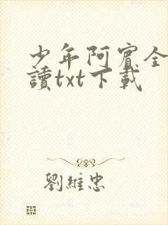 少年阿宾全文阅读txt下载