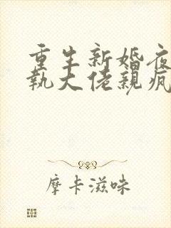 重生新婚夜被偏执大佬亲疯了txt免费下载