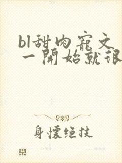 bl甜肉宠文 一开始就很宠