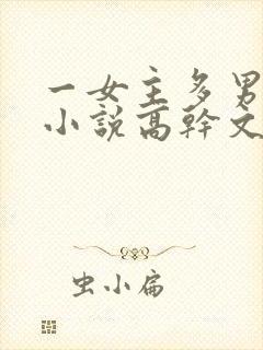 一女主多男主的小说高干文
