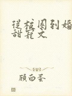 从校园到婚纱的甜宠文