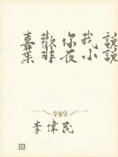 喜欢你我说了算叶非夜小说