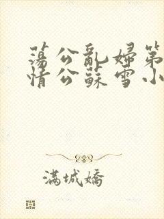 荡公乱妇第1章情公苏雪小说