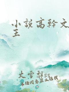 小说高干文双男主