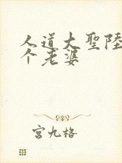 人道大圣陆叶几个老婆