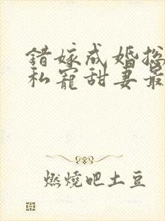 错嫁成婚总裁的私宠甜妻最新