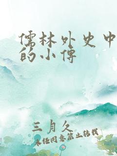 儒林外史中王冕的小传