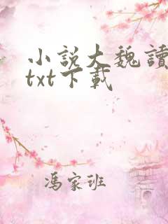 小说大魏读书人txt下载