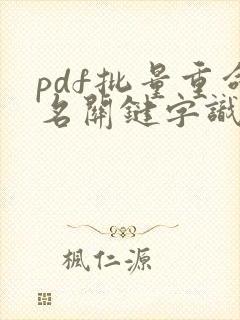 pdf批量重命名关键字识别