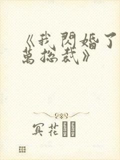 《我闪婚了个亿万总裁》