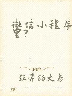 微信小程序在哪里?