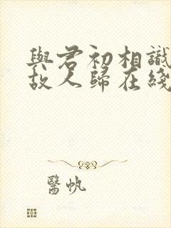 与君初相识犹如故人归在线观看