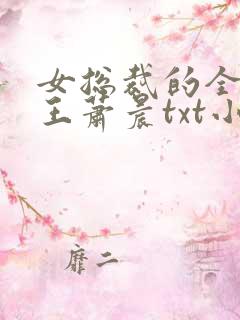 女总裁的全能兵王萧晨txt小说下载