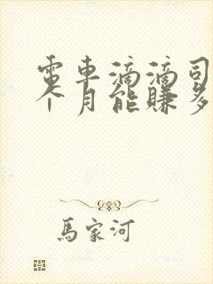 电车滴滴司机一个月能赚多少钱啊