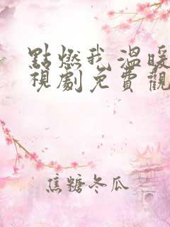 点燃我温暖你电视剧免费观看36集