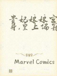 贵妃娘娘宫女出身,皇上偏宠着大结局