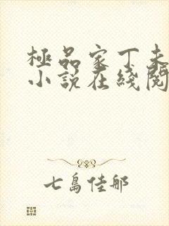 极品家丁未删减小说在线阅读