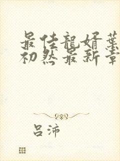 最佳龙婿叶辰萧初然最新章节