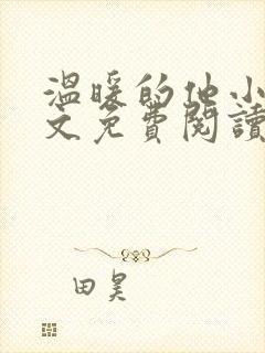 温暖的他小说全文免费阅读无弹窗