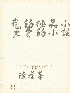 我的极品小姨全免费的小说