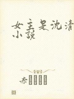 女主是沈清婉的小说