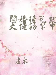 闪婚后我就成了大佬的掌中之物