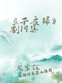 《子夜归》电视剧19集