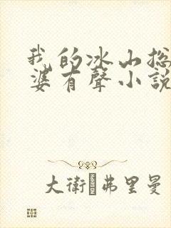 我的冰山总裁老婆有声小说