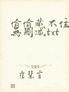 偷偷藏不住番外无删减txt