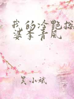 我的冷艳总裁老婆李青风