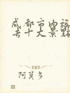 成都市内旅游必去十大景点推荐一下