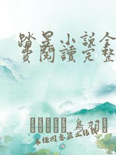 踏星小说全文免费阅读完整版无弹窗