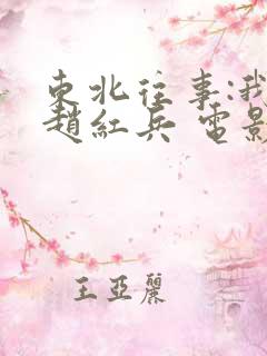 东北往事:我叫赵红兵 电影