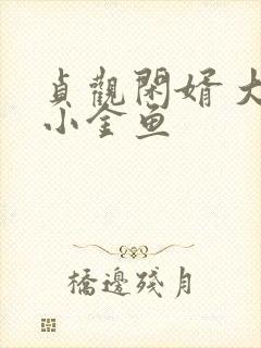 贞观闲婿 大眼小金鱼