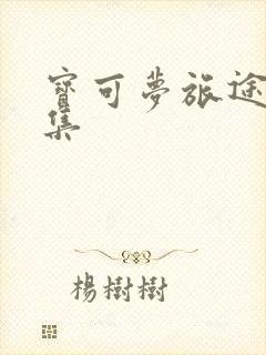 宝可梦旅途60集