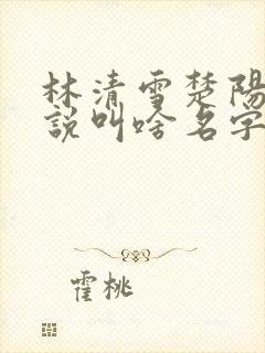 林清雪楚阳的小说叫啥名字
