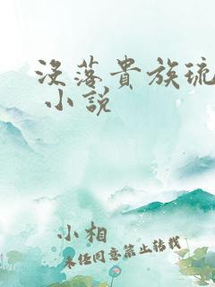 没落贵族琉璃川 小说