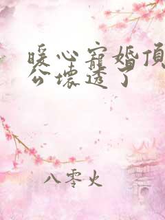 暖心宠婚顶级老公坏透了