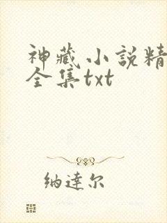 神藏小说精校版全集txt