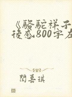 《骆驼祥子》读后感800字左右