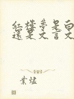 红楼梦是白话文还是文言文